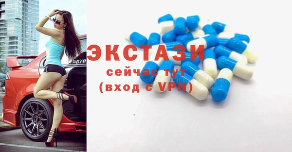 spice Богородицк