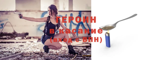 spice Богородицк