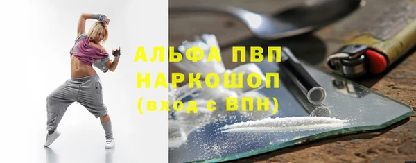 spice Богородицк