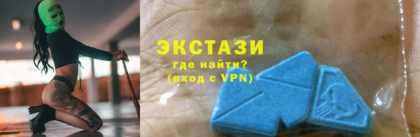 spice Богородицк