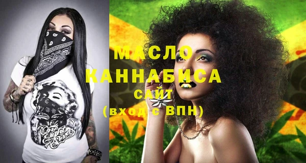 spice Богородицк