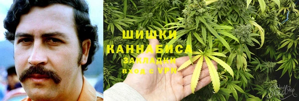 шишки Богданович