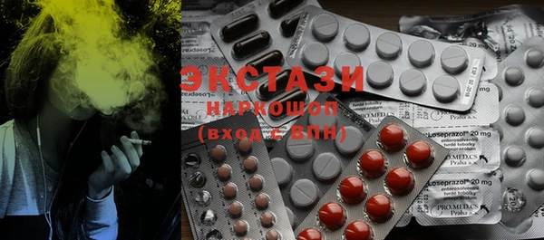 spice Богородицк