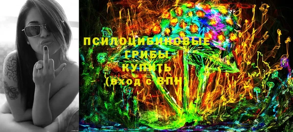 шишки Богданович