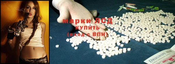 spice Богородицк