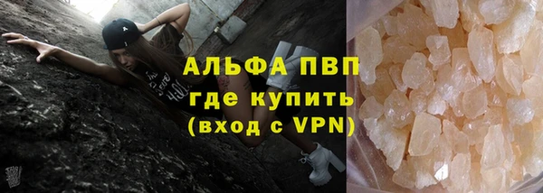 spice Богородицк