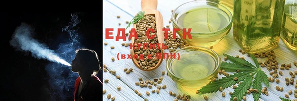 spice Богородицк