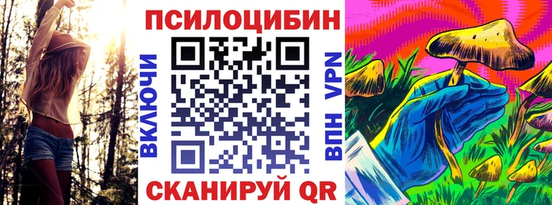 mega онион  закладки  Новое Девяткино  Псилоцибиновые грибы ЛСД 