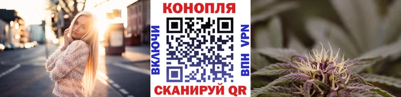 Конопля сатива  Новое Девяткино 